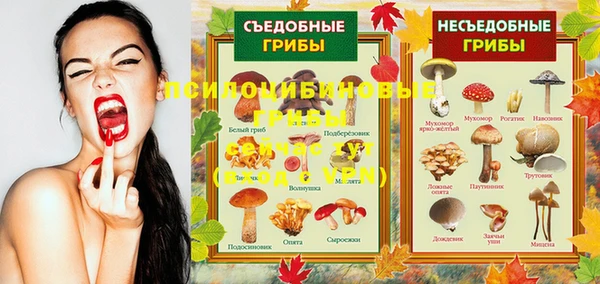 герыч Куйбышев