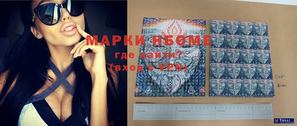 трава Коряжма