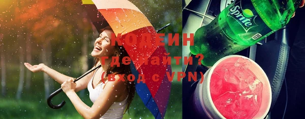 индика Краснотурьинск