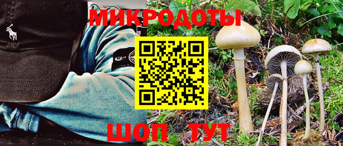 Псилоцибиновые грибы Magic Shrooms Красноперекопск