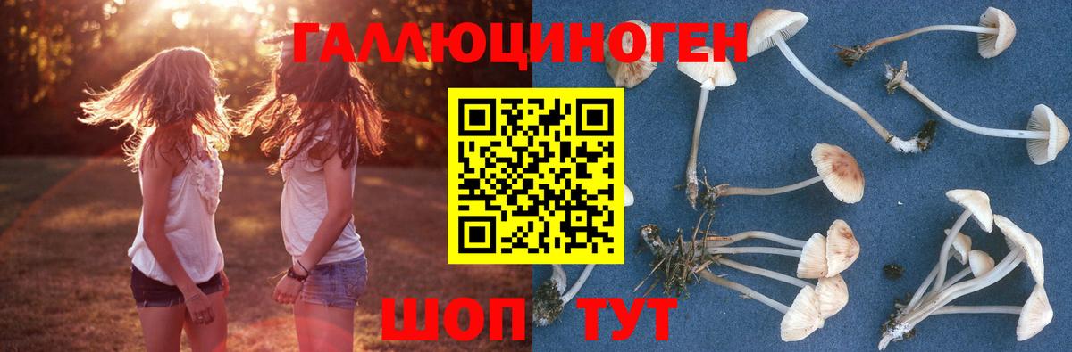 Псилоцибиновые грибы Psilocybe  Вход с VPN  Красноперекопск 